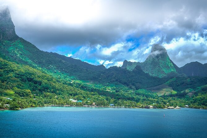 4 Hour Private Humpback Whales Encounter in Moorea - Swimming with humpbacks: how to decide if it’s right for you