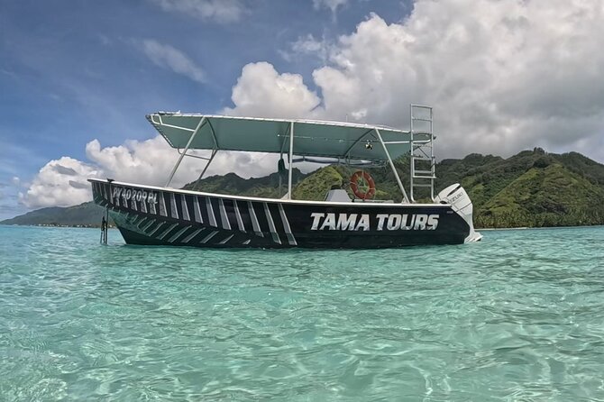 4 Hour Private Humpback Whales Encounter in Moorea - What a 4-hour encounter actually feels like