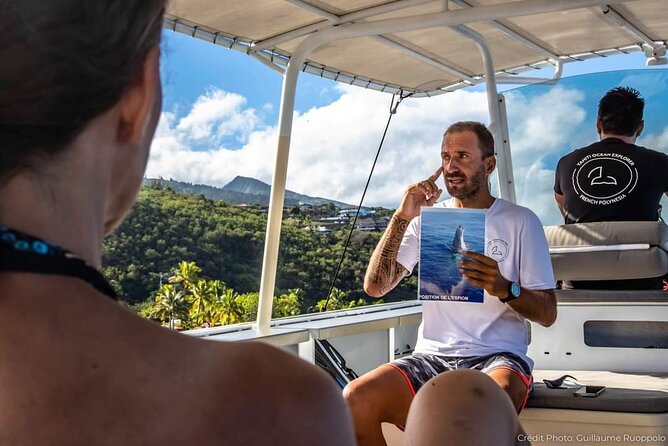 4 Hours of Humpback Whale Watching in Tahiti - If you choose snorkeling: how the decision works on the day