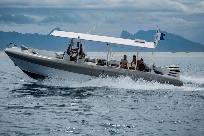 4 Hours of Humpback Whale Watching in Tahiti - Wildlife viewing that actually respects whales