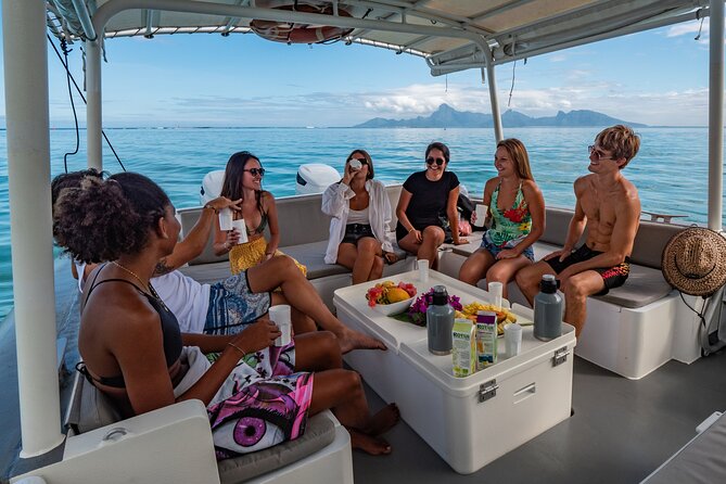 4 Hours of Humpback Whale Watching in Tahiti - Other marine life odds: dolphins and turtles on the way