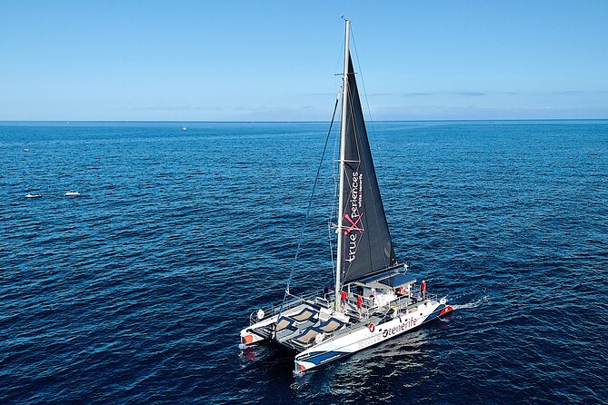5 hr watching and listening whales and dolps. Visit Los Gigantes - Whales and Dolphins: What You’re Doing Once You’re Out at Sea