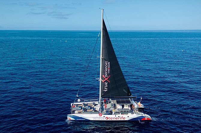 5 hr watching and listening whales and dolps. Visit Los Gigantes - The Lunch Onboard: Rice, Pasta Salad, Fruit, and Drinks