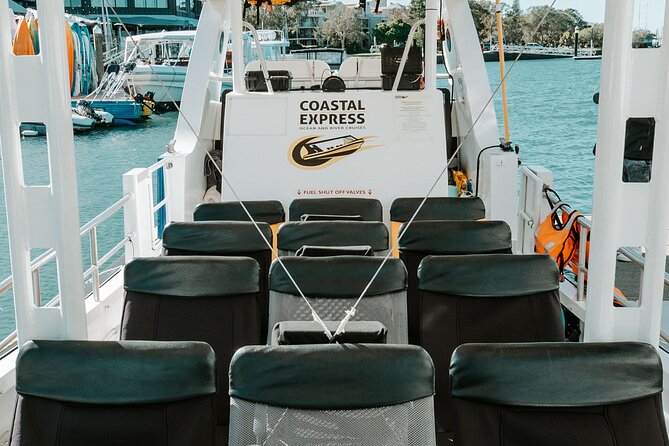Adventure Whale Watching Tour Mooloolaba - Whale Time: What to Watch For and How the Crew Helps
