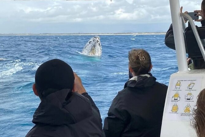 Adventure Whale Watching Tour Mooloolaba - Small-Group Comfort and Why Window Seats Actually Change Your Trip