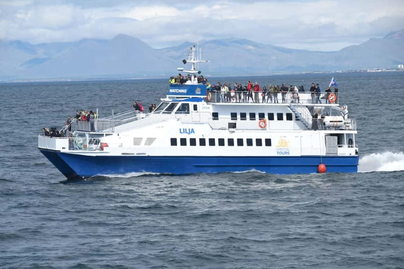 Akureyri: Whale Watching Shore Excursions - Timing and What 2.5 Hours Feels Like on the Water