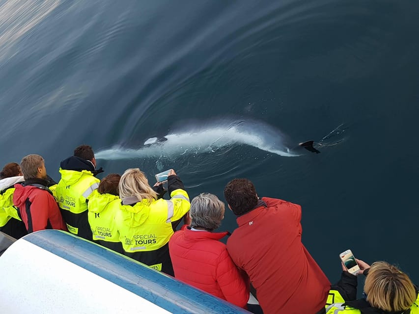 Akureyri: Whale Watching Tour & Forest Lagoon Entrance - The comfort details: warm overalls, indoor heat, and snack-bar fuel