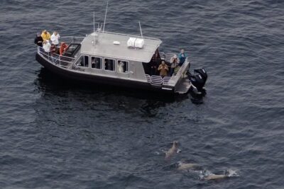 Alaska Whale Watching with bonus Drone viewing of Whales - Captain Josh’s 14-passenger boat: the small size is the point