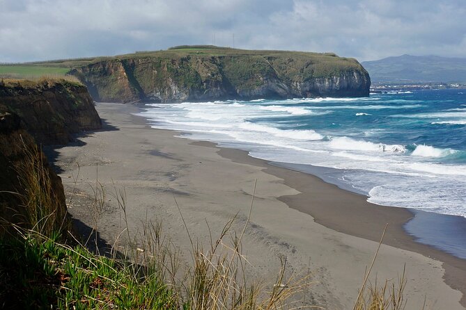 Among Whales Dolphins and Volcanoes Full Day Tour With Lunch - Best time to go and what to pack