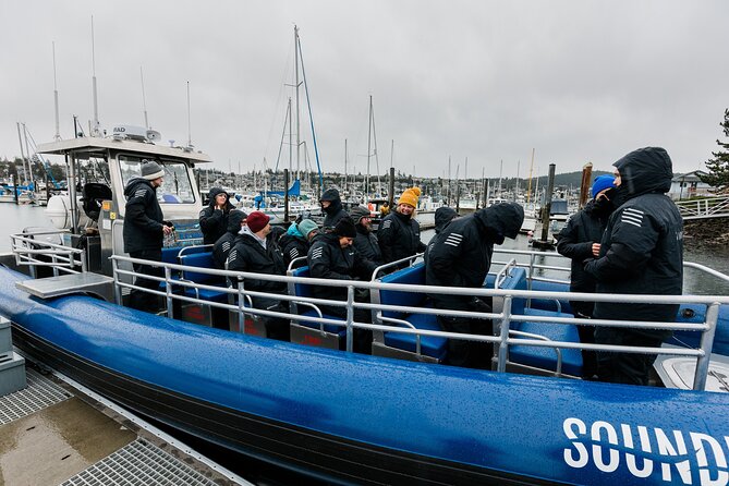 Anacortes Whale Watching Adventure Tour - Zodiac Boat - Check-In at Skyline Way: The Part That Makes the Trip Easier