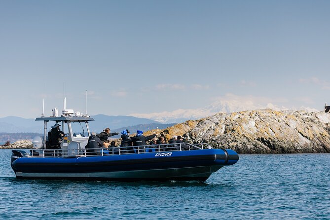 Anacortes Whale Watching Adventure Tour - Zodiac Boat - The Full On-Water Flow: From Safety to Spotting to Return