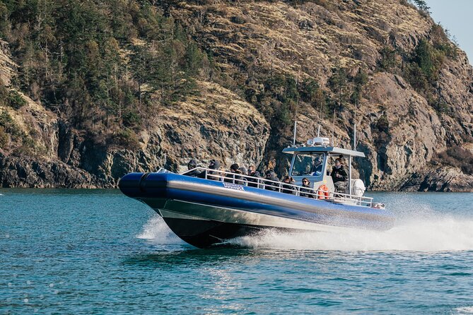 Anacortes Whale Watching Adventure Tour - Zodiac Boat - Comfort, Seasickness, and Weather Reality