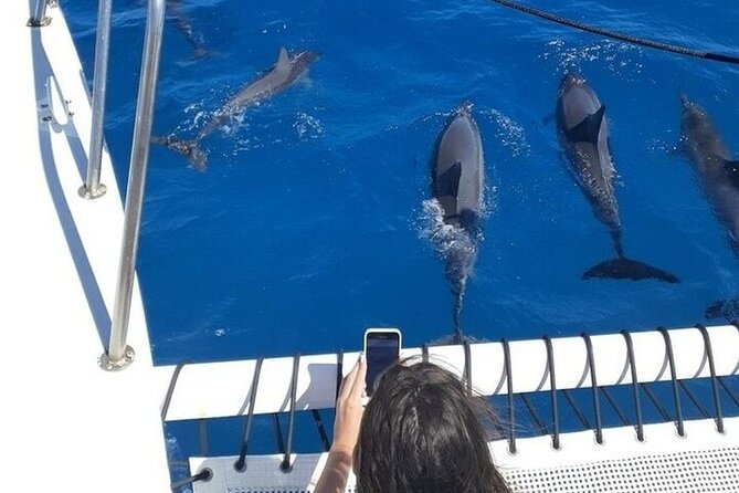 Best Waikiki Whale Watching in Honolulu: Whales Guaranteed - BYOB on a Hawaiian Ocean Ride: What to Bring and How to Be Comfortable