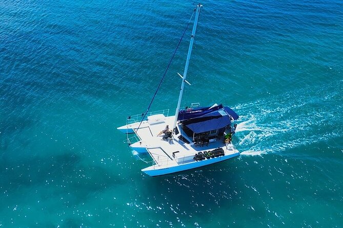 Best Waikiki Whale Watching in Honolulu: Whales Guaranteed - Who This Tour Fits Best (And When to Choose Something Else)