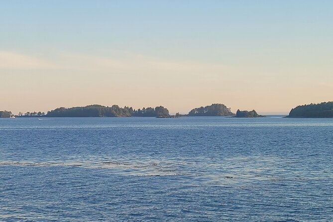 Best Whale Watching and Wildlife Shore Excursion in Sitka - Who this tour suits best (and who should look elsewhere)