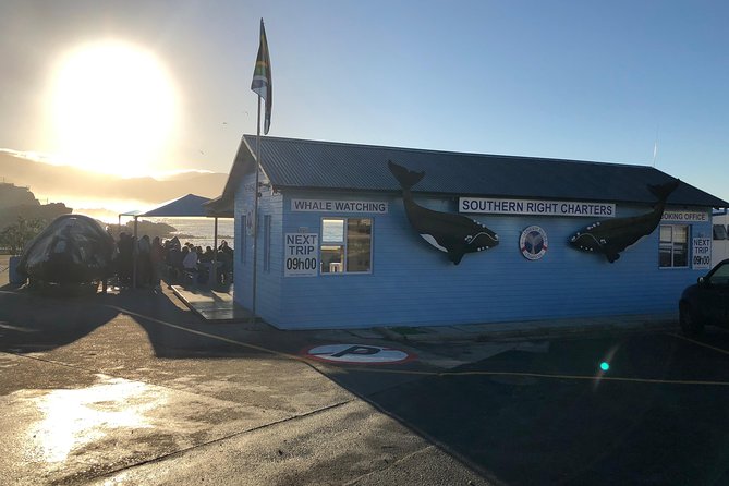 Boat Based Whale Watching from Hermanus - On the catamaran: comfort, crew support, and filming