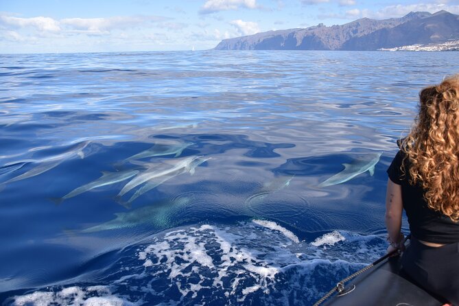 Bonadea II Ecological Whale Watching, 2 hours - Santa Cruz de Tenerife in the route: more than one coastline view