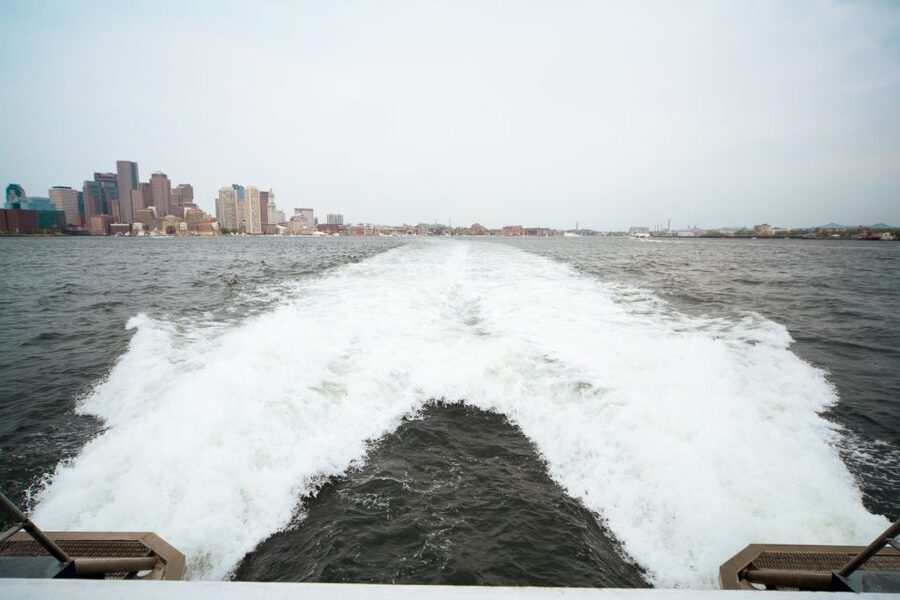 Boston: City Cruises Whale Watching Cruise - How the Naturalists Run the Spotting Game (and Why It Changes Everything)