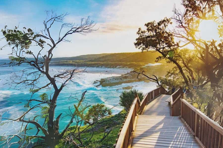 Brisbane to North Stradbroke Island Day: Wildlife & Beaches - Key highlights I’d circle before you go