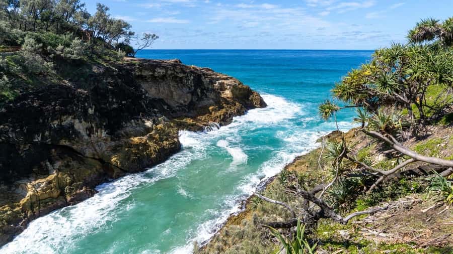 Brisbane to North Stradbroke Island Day: Wildlife & Beaches - North Gorge Walk at Point Lookout: the main wildlife try