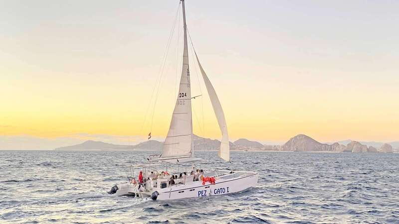 Cabo San Lucas: Whale Watching Experience on Catamaran - What to do about pickup timing and getting onto the right van