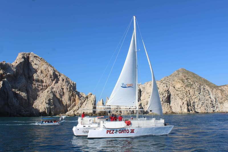 Cabo San Lucas: Whale Watching Experience on Catamaran - Who this tour fits best (and when to skip it)