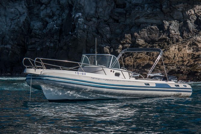Costa Adeje | Cetacean sighting in Tenerife South - Timing, the route feel, and what the 2.5 hours is like onboard
