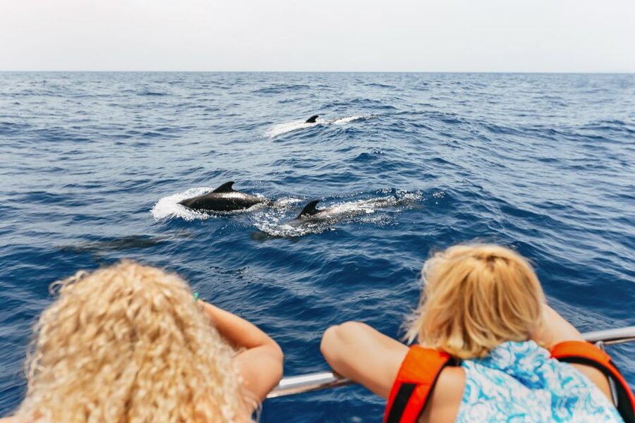 Costa Adeje: Whale Watching Catamaran Tour with Drinks - Key things to know before you go