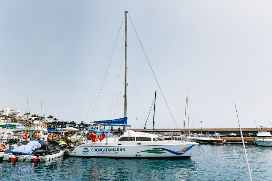 Costa Adeje: Whale Watching Catamaran Tour with Drinks - Who This Tour Fits Best (and Who Might Want Something Else)