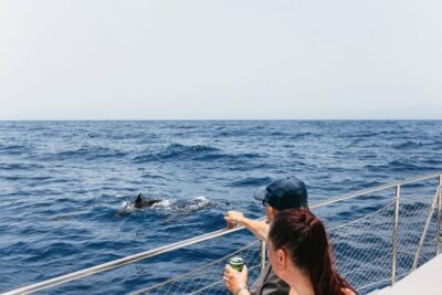 Costa Adeje: Whale Watching Catamaran Tour with Drinks - The 2-Hour vs 3-Hour Choice (and How to Pick)
