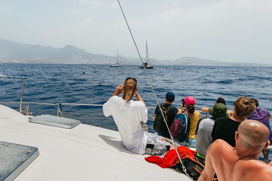 Costa Adeje: Whale Watching Catamaran Tour with Drinks - Sailing the Southwest Coast: The Ride Matters