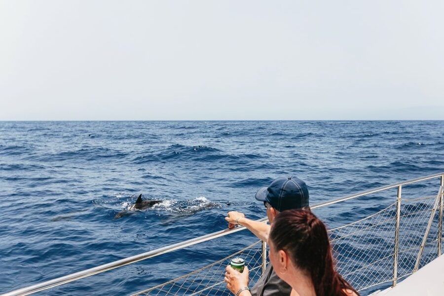 Costa Adeje: Whale Watching Catamaran Tour with Drinks - The 2-Hour vs 3-Hour Choice (and How to Pick)