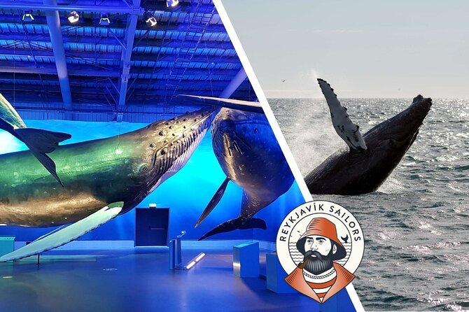 Deluxe Whale Watching and Whales of Iceland Exhibition Combo from Reykjavik - Who This Works Best For (and Who Should Think Twice)