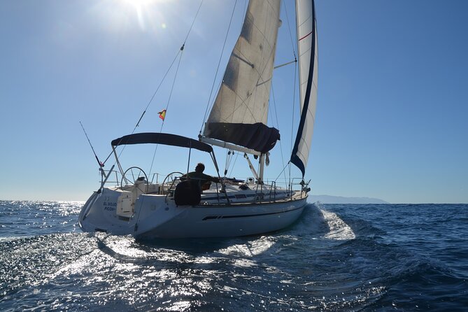 Dolphin and Whale Sailing Tour in Los Gigantes - Key things I’d bet on (before you book)