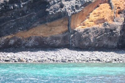 Dolphin and Whale Sailing Tour in Los Gigantes - Meeting point and timing: don’t treat this like a casual stroll