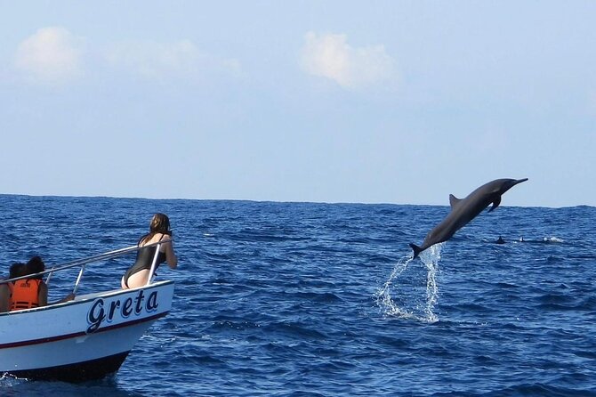 Dolphin and Whale Watching Boat Trip in Puerto Escondido - Key Points You’ll Care About