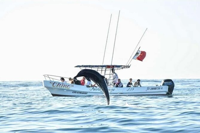 Dolphin and Whale Watching Boat Trip in Puerto Escondido - What to Bring for a Smooth Morning at Sea