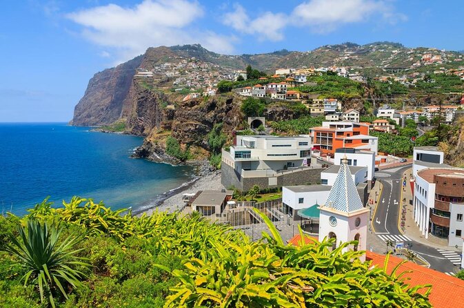 Dolphin and Whale Watching Catamaran Cruise from Funchal - Quick Highlights You’ll Actually Care About