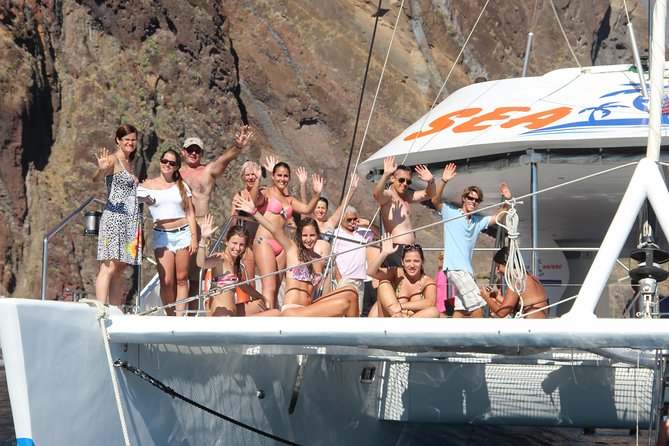Dolphin and Whale Watching Catamaran Cruise from Funchal - The Search for Dolphins and Whales: Not Just a Drive-by