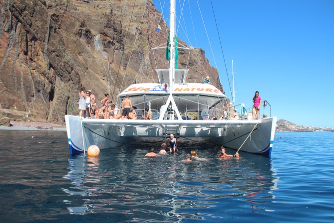 Dolphin and Whale Watching Catamaran Cruise from Funchal - Comfort on Board: Space, Toilets, and a Real Drinks Bar