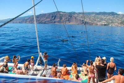 Dolphin and Whale Watching Catamaran Cruise from Funchal - When the Water Is Right: The Cabo Girão Swim Stop