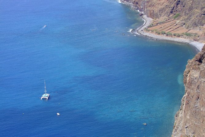 Dolphin and Whale Watching Catamaran Cruise from Funchal - Price and Value: Is It Worth $48.27?