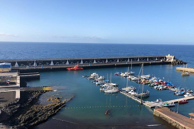 Dolphin and Whale Watching in La Restinga - Hydrophones on Board: Hearing Whales Changes Everything