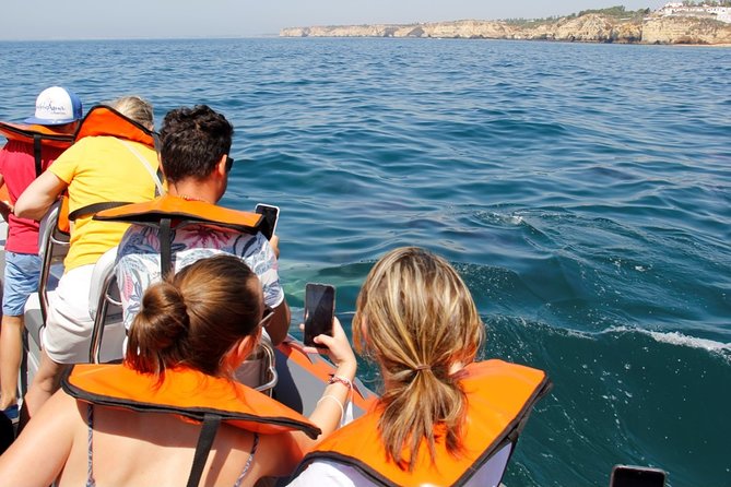 Dolphin and Whale Watching in Lagos - How the Guide’s Strategy Affects Your Chances