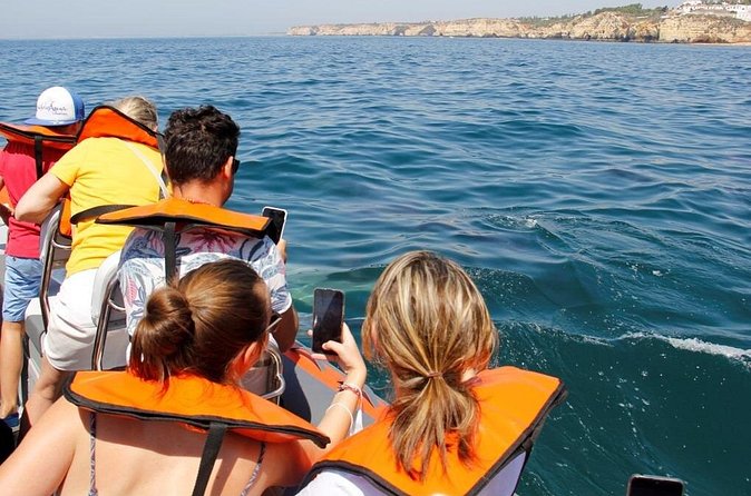 Dolphin and Whale Watching in Lagos - What Your Small Group Size Changes (Max 18)