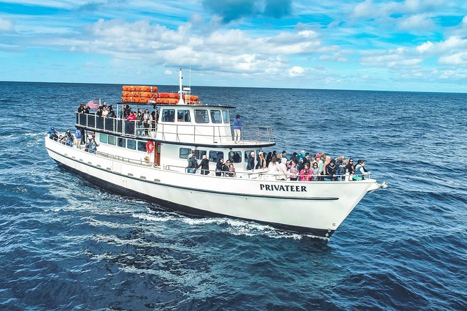 Dolphin and Whale Watching Sunset Cruise - Mission Bay at Golden Hour: Why This Cruise Works