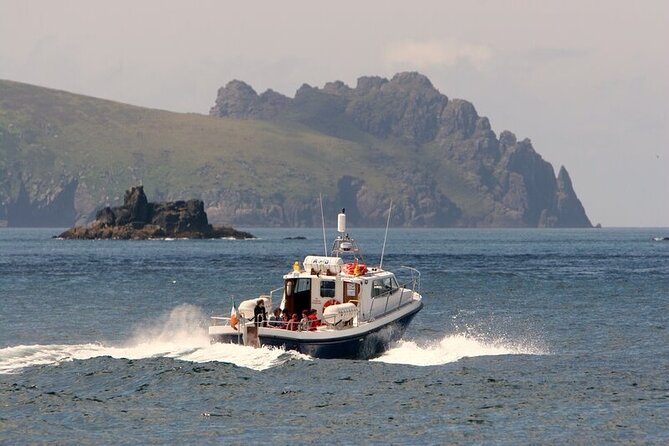 Dolphin & Whale Watching (4hrs) + Blasket Island Landing (3hrs) - Inishvickillane and Inishvickillaun: Puffins in Rafts and Deer on the Cliffs
