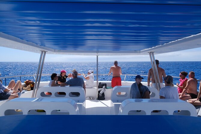 Eco-Friendly Catamaran Dolphin and Whale Watching - Key Highlights That Matter on the Water