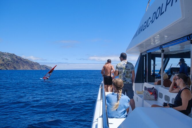 Eco-Friendly Catamaran Dolphin and Whale Watching - What the Eco-Friendly Catamaran Feels Like From Funchal