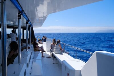 Eco-Friendly Catamaran Dolphin and Whale Watching - How Spotters and Spotting Logic Improve Your Chances